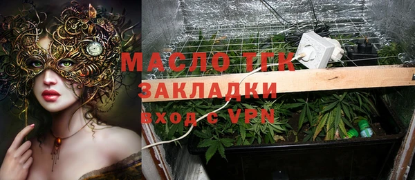 сатива Краснослободск