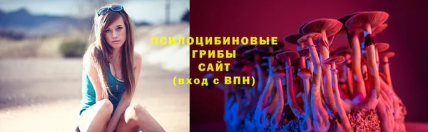 сатива Краснослободск