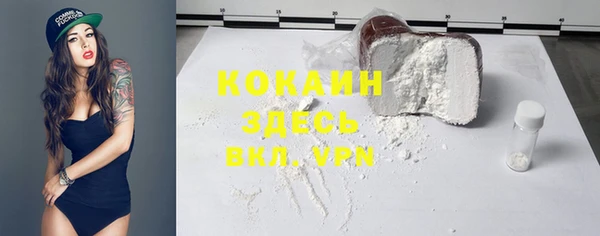 сатива Краснослободск