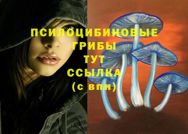 стаф Куйбышев
