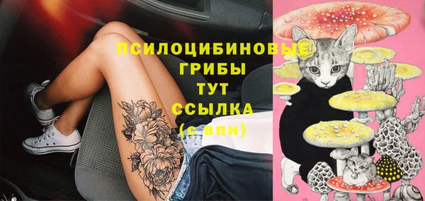 сатива Краснослободск