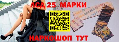 гашик Гатчина