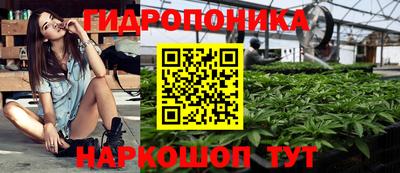 дмт Гагарин