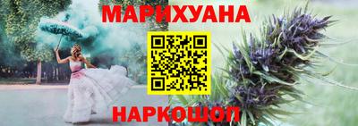 гашик Гатчина