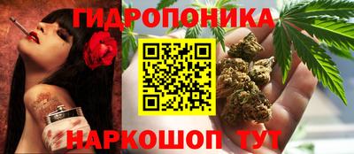 гашик Гатчина