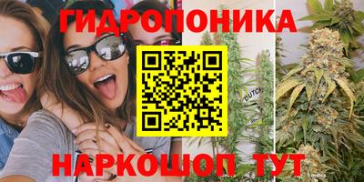 дмт Гагарин