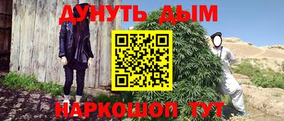 гашик Гатчина