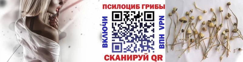 наркошоп  Клинцы  Галлюциногенные грибы мицелий 
