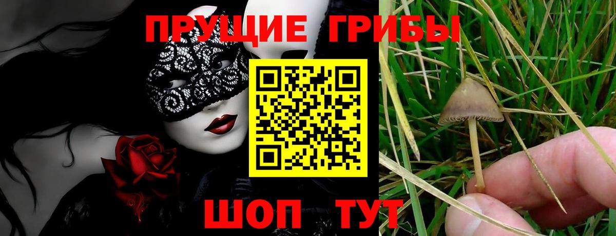 где найти наркотики  Галлюциногенные грибы мухоморы  Вход с VPN  Галлюциногенные грибы Cubensis  Клинцы 